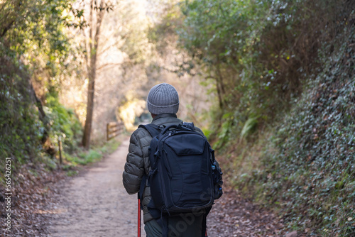 Wallpaper Mural Unrecognizable hiker walking in forest Torontodigital.ca