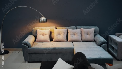 Living room decorated in a modern style with a gray sofa and decorative pillows, lit by a tall lamp on the right. 4k video