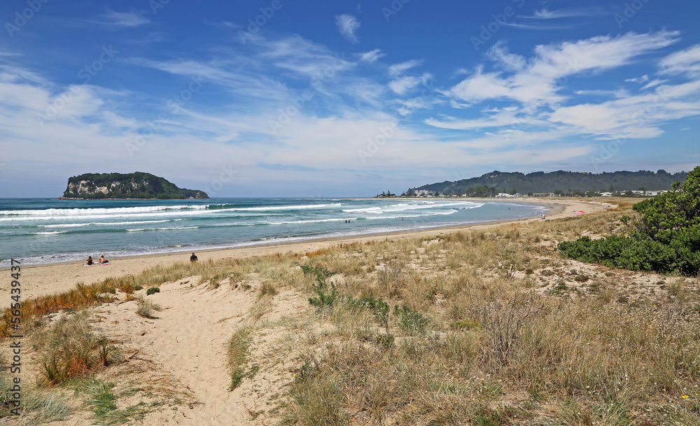 Dune and Whangamata Beach - New Zealand Dune and Whangamata Beach - New Zealand