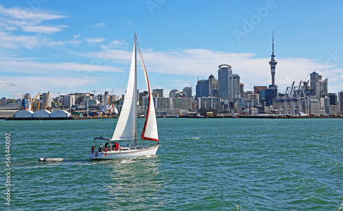 Sailboat and Auckland, New Zealand