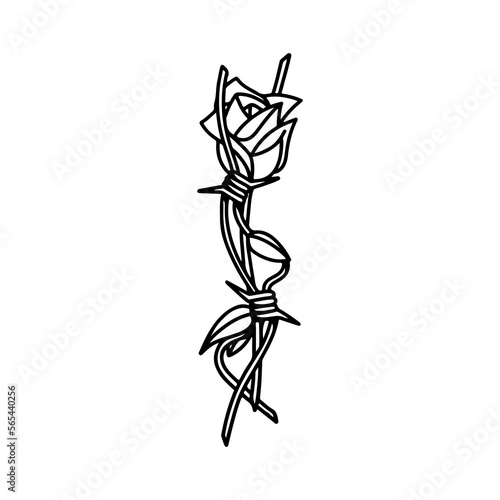 rose vector illustration with barbed wire concept