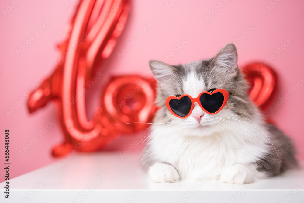 Cat with heart deals glasses
