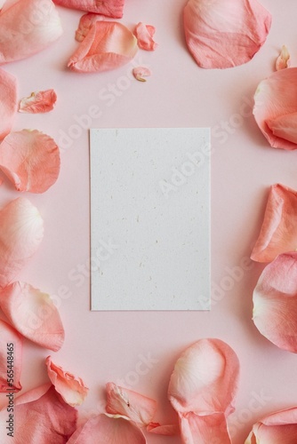 Fotografia, Obraz background with roses and frames