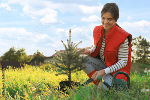 Photo Young woman planting conifer tree in countryside on sunny day