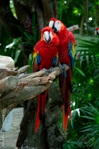 cancun vacation mexico sumer 