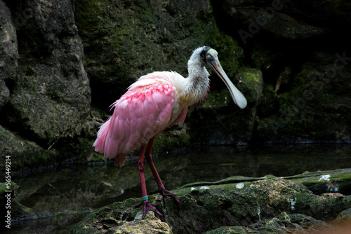 cancun vacation mexico sumer 