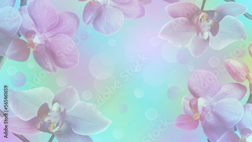Pink orchids flowers on a light multi colored spring background