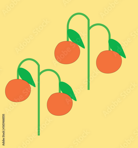oranges