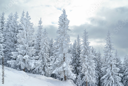 Winterlandschaft in den Ammergauer Alpen, Bayern, Deutschland © PietFoto