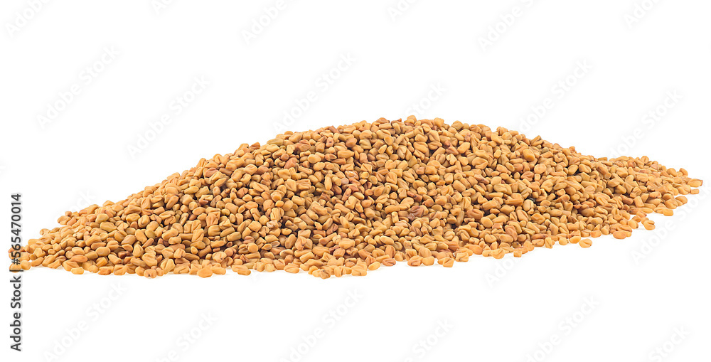 Fenugreek seeds isolated on a white background. Dried fenugreek seed spice. Fenugreek seeds isolated on a white background. Dried fenugreek seed spice.