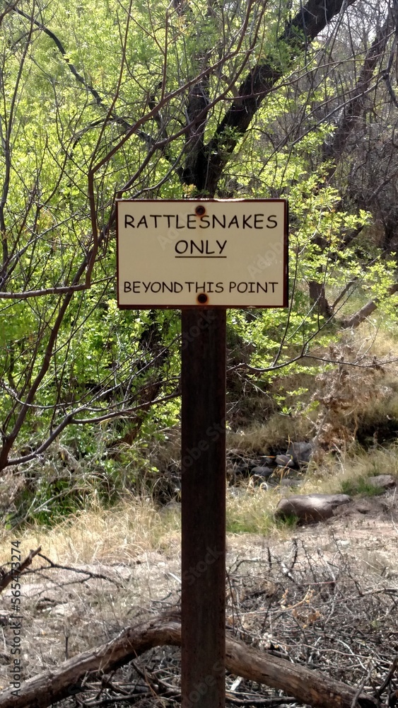 Rattlesnake sign along hiking trail in Arizona.