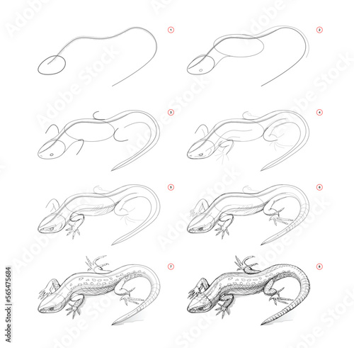 Page shows how to learn to draw sketch of cute little lizard. Pencil drawing lessons. Educational page for artists. Textbook for developing artistic skills. Online education. Vector image.