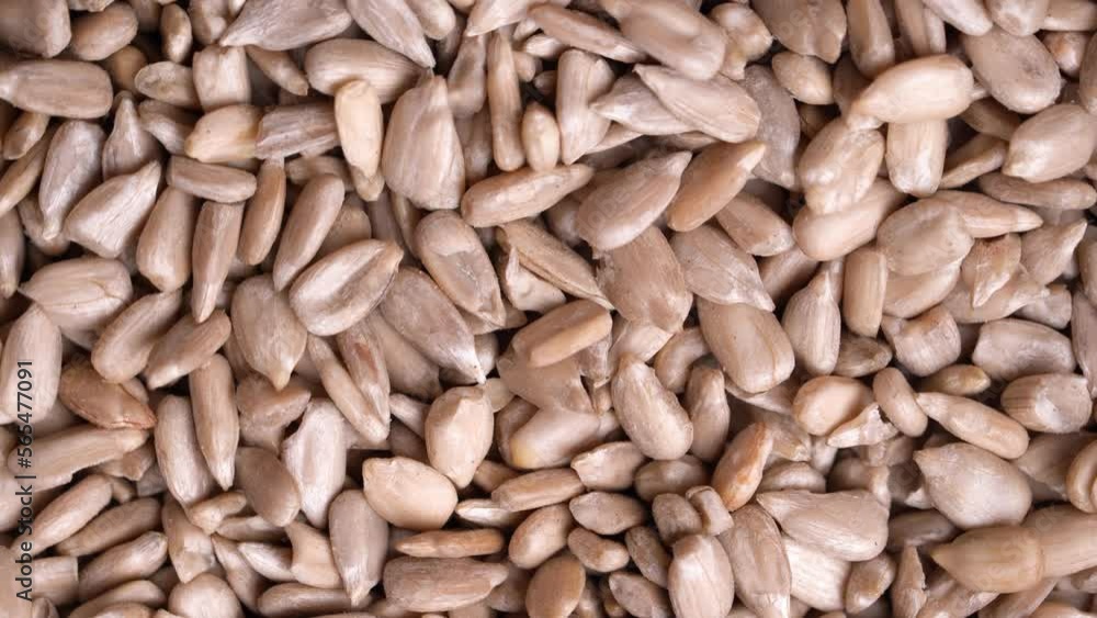 Peeled sunflower seeds background rotates the kind of sprehu. Peeled sunflower seeds background rotates the kind of sprehu.