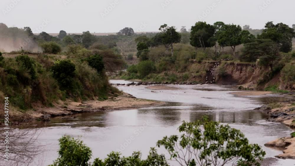 View from afar herd of wildebeest run into river and swim to get to other side. Dangerous crossing of river by wildebeest herds during migration in Kenya. Unique footage in collection about wildebeest View from afar herd of wildebeest run into river and swim to get to other side. Dangerous crossing of river by wildebeest herds during migration in Kenya. Unique footage in collection about wildebeest
