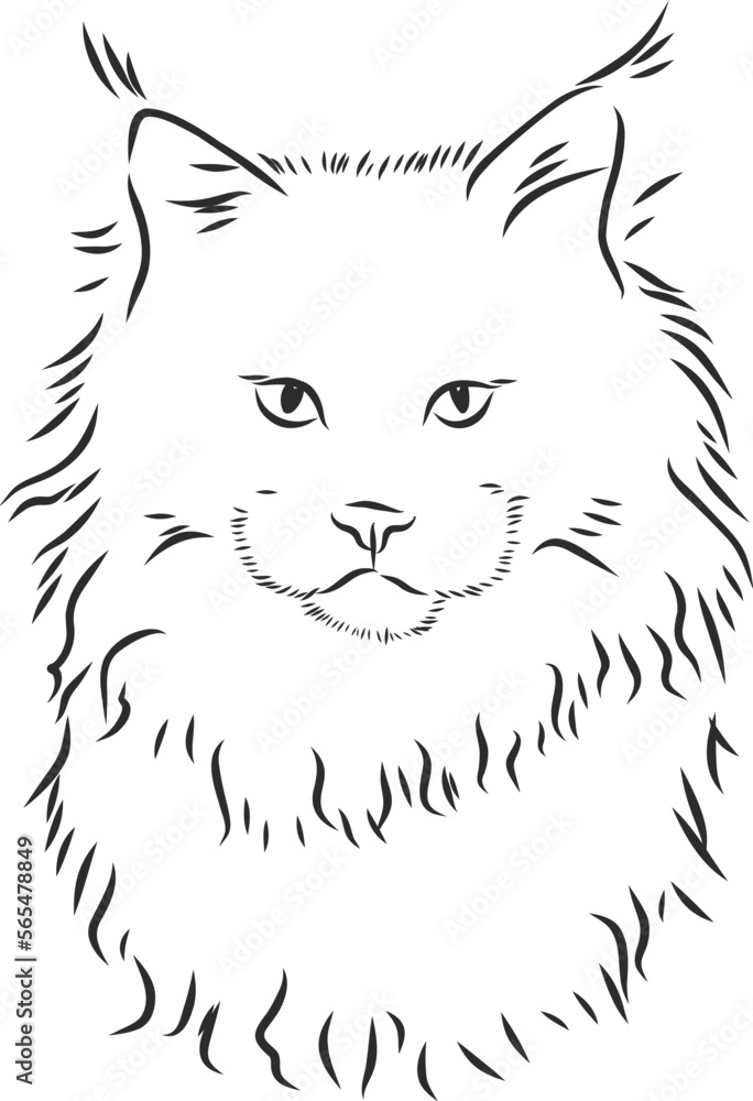 free premium cat illustration vector with high quality t shirt elements and illustration of cat free premium cat illustration vector with high quality t shirt elements and illustration of cat