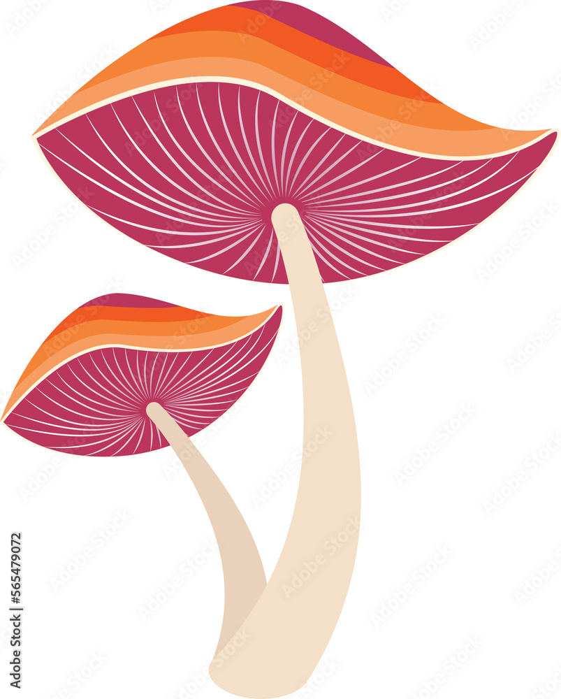 Reishi Ganoderma lingzhi mushroom transparent illustration Reishi Ganoderma lingzhi mushroom transparent illustration