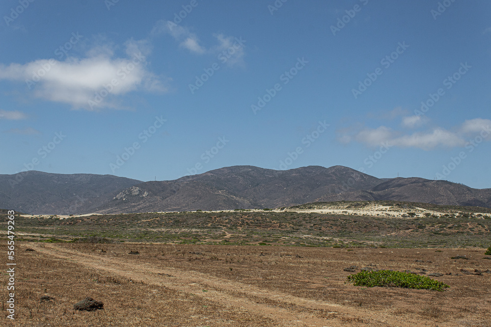 stroll through nothing