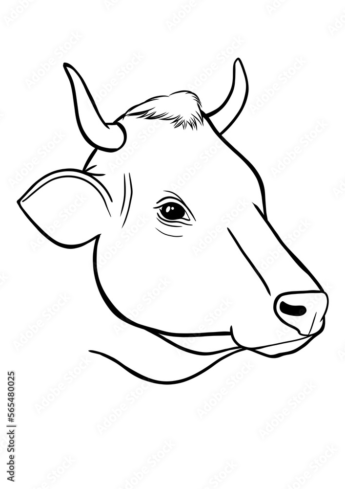 Cow head outline illustration on transparent background Cow head outline illustration on transparent background