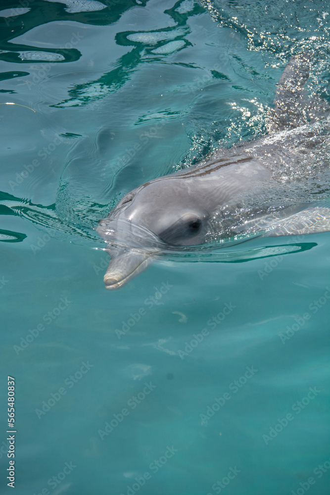 Obraz premium BAHAMAS PANORAMIC TURISTIC