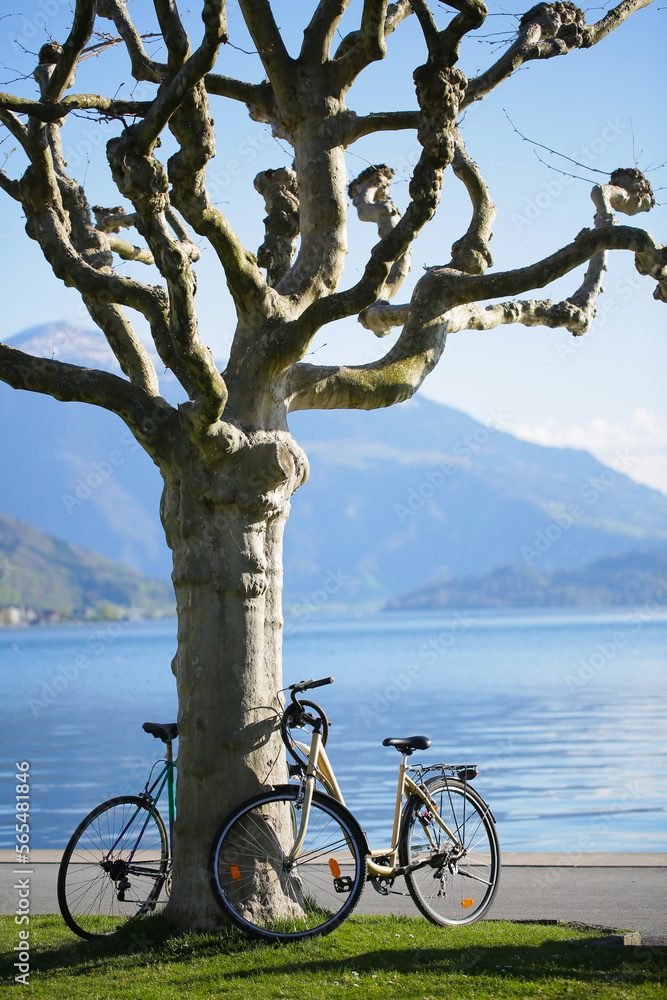 Fototapeta premium bicycle on the shore of lake