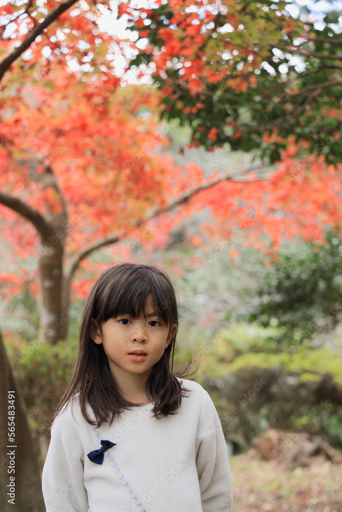 紅葉と女子小学生 (8歳) 紅葉と女子小学生 (8歳)