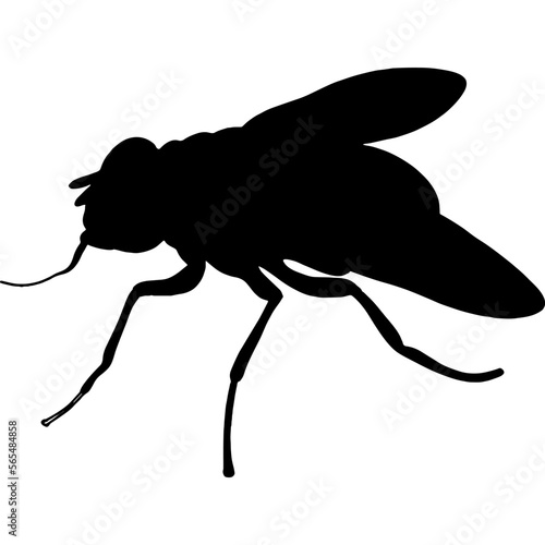 illustration of fly insect flying flies silhouette vector transparent background 