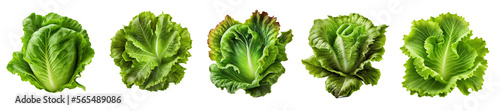 Set of lettuce salad, isolated on transparent background photo