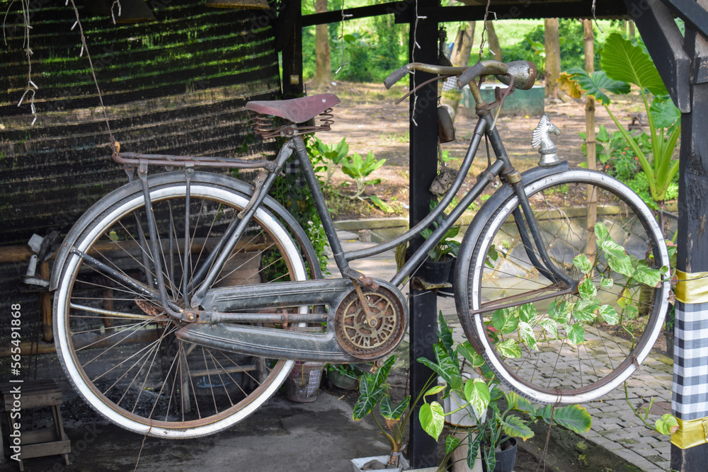 Vintage Bicycle on display in front of the house