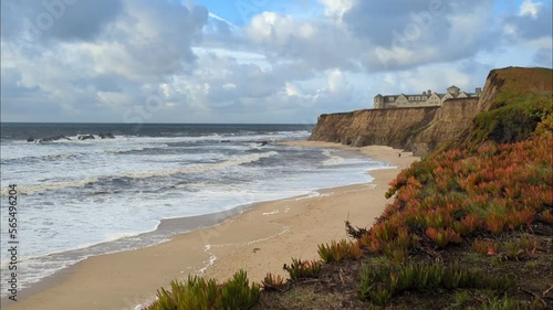wildflower-covered cliffs over the pacific