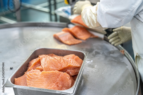 Salmon being processed at a seafood factory