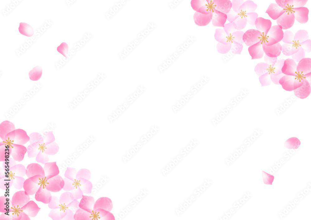 水彩の桜の花と花びらの白背景カード