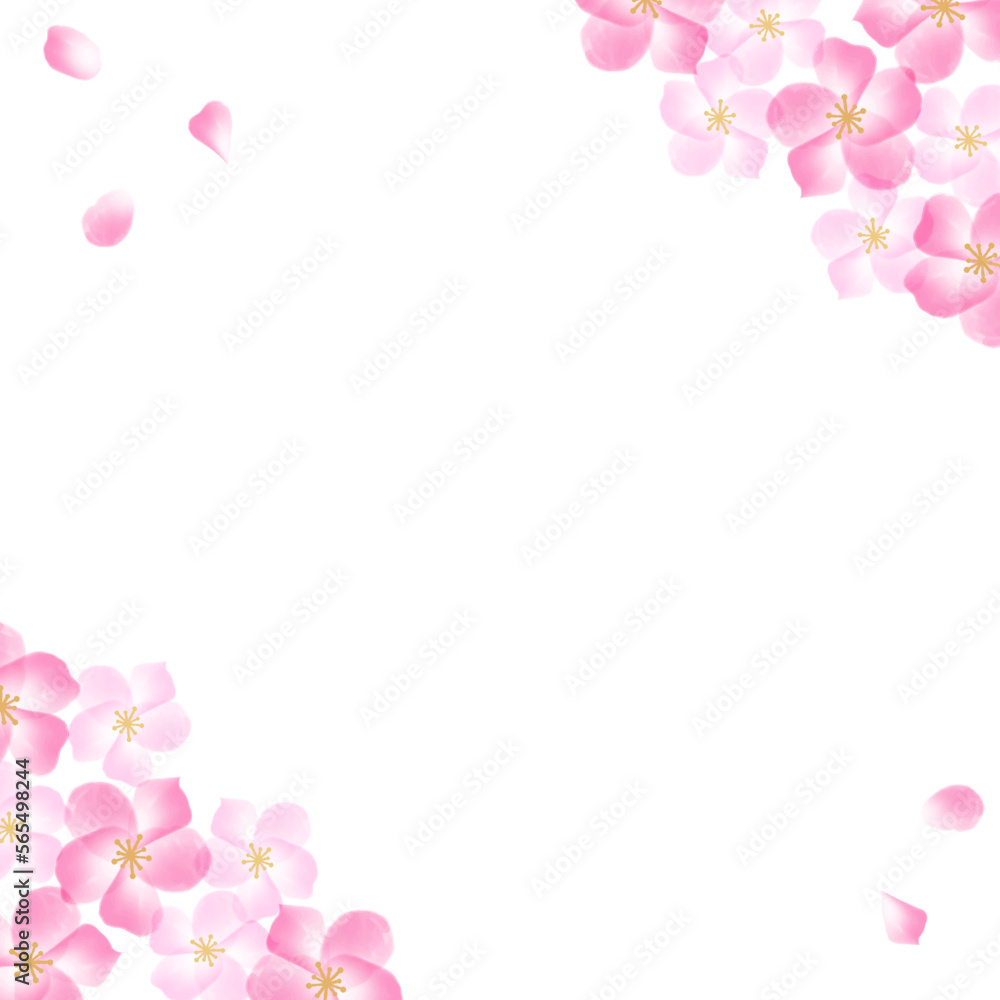 水彩の桜の花と花びらの白背景カード　正方形