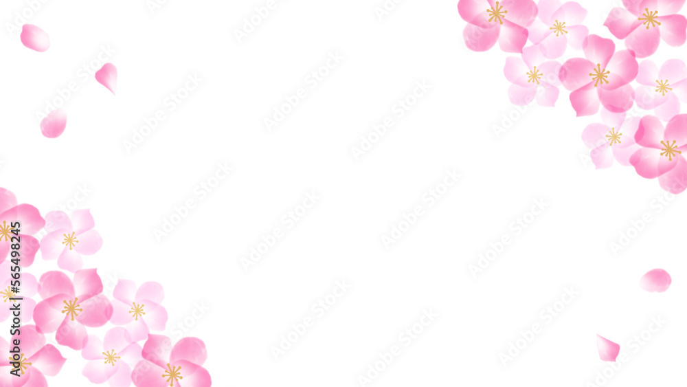 水彩の桜の花と花びらの白背景カード　横型