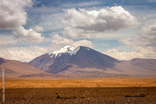 Volcanic landscape in Bolivia altiplano near Chilean atacama border, South America