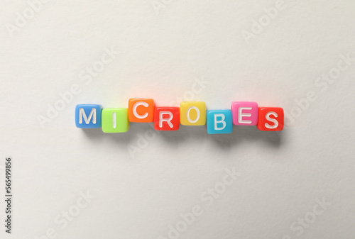 Word Microbes made with colorful cubes on white background, flat lay