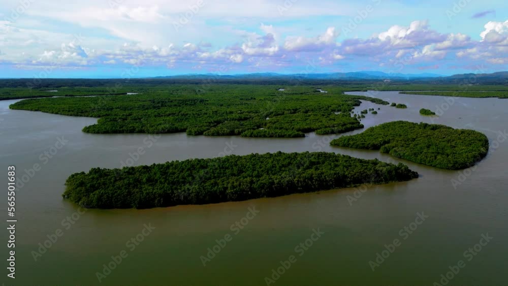 drone video shoot in the mangrove forest in the beach drone video shoot in the mangrove forest in the beach
