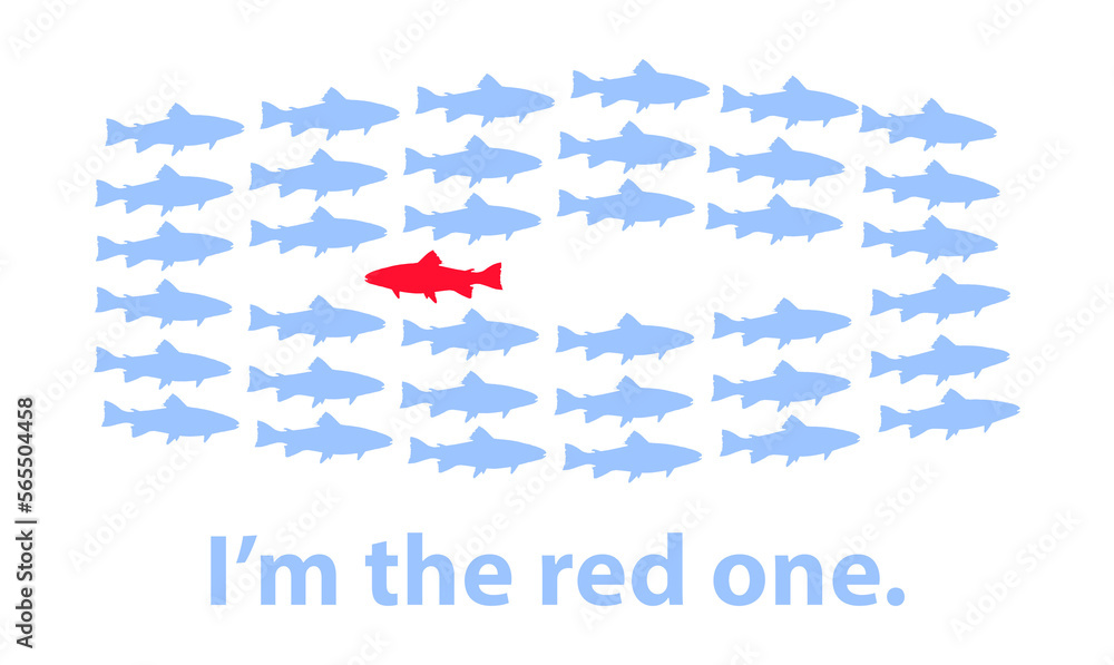 A school of blue fish swim one direction and an oppisitional red fish swims the other directions and I’m the red one swimming the wrong way.