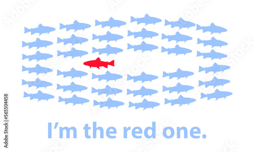 Foto A school of blue fish swim one direction and an oppisitional red fish swims the other directions and I’m the red one swimming the wrong way