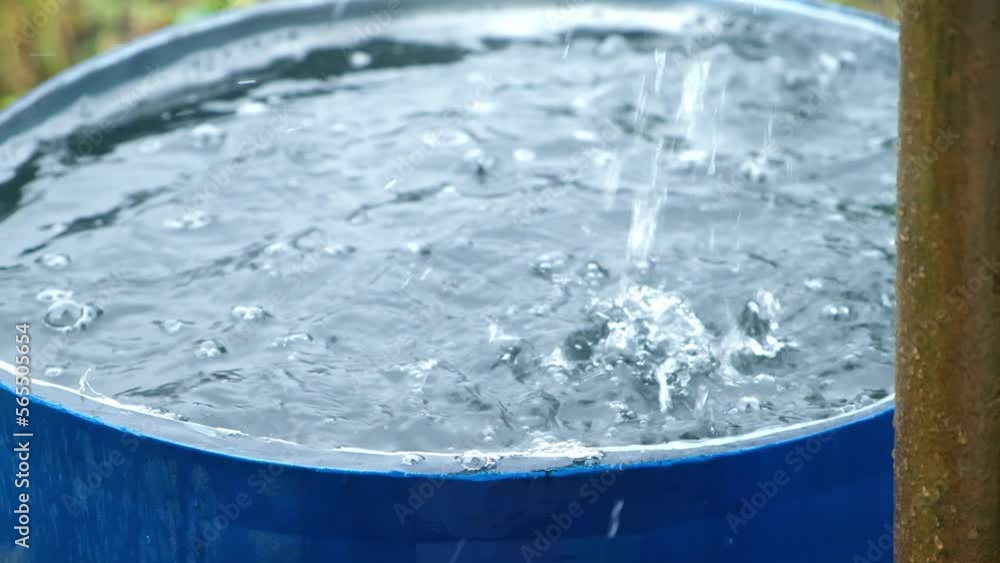 Stockvideon A blue barrel for collecting rainwater. Collecting