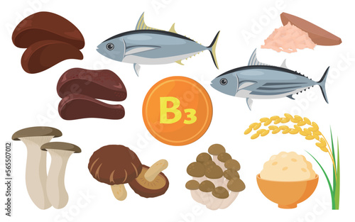 Vector illustration of food containing vitamin B3.