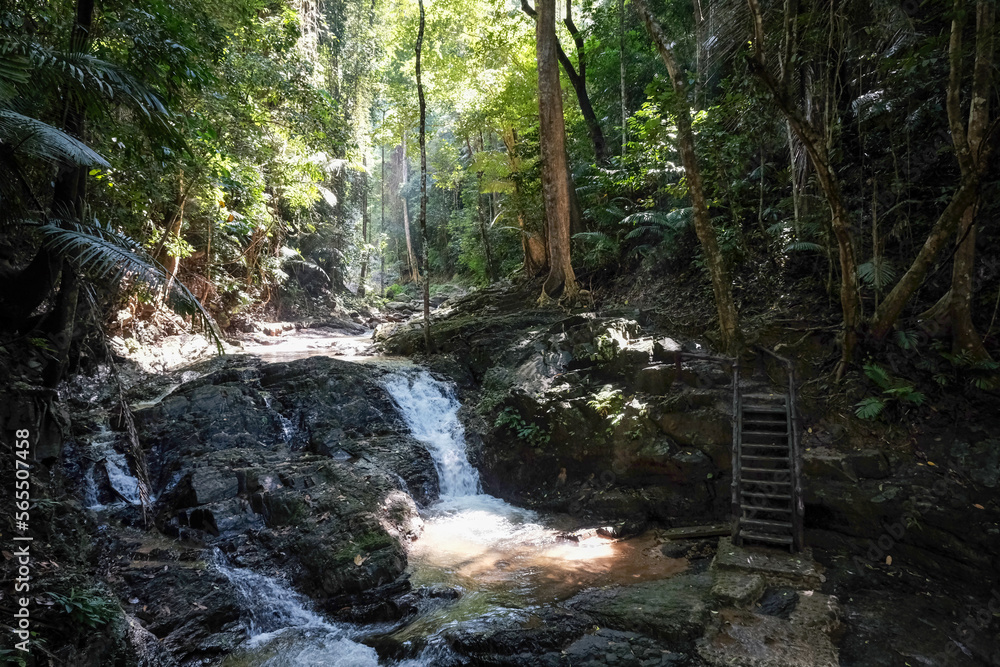 Obraz premium Small waterfall on mountain creek on the way to Huay Tho waterfall on sunny day. Khao Phanom Bencha National Park, Krabi Province, Thailand.