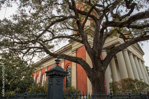 A large tree outside of The Cathedral-Basilica of the Immaculate Conception with a black fence and apartment buildings in Mobile Alabama USA photo