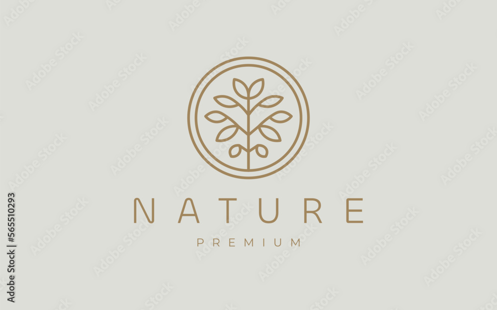 Circle nature tree vector illustration design. Abstract Symmetrical round outline plant with branch and leaves business logo.