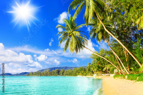 Beautiful tropical island sea beach landscape, turquoise ocean water, yellow sand, sun blue sky white cloud, green coconut palm tree leaves, paradise nature, summer holidays, vacation, tourism, travel © Vera NewSib