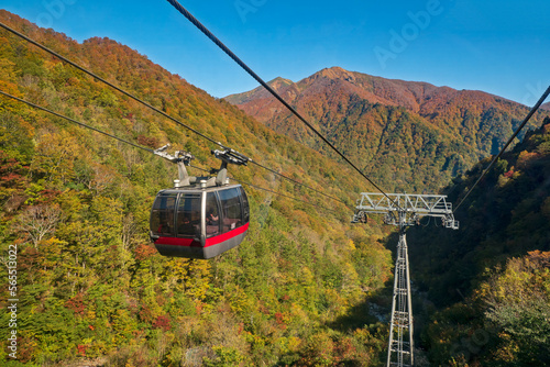 谷川岳ロープウエイと紅葉