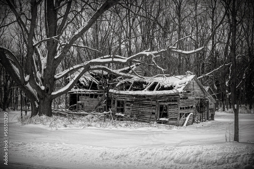 Wallpaper Mural The old miller's house, crumbling in the forest, is one of the last remnants of the ghost town of Duncrief, Ontario. Torontodigital.ca