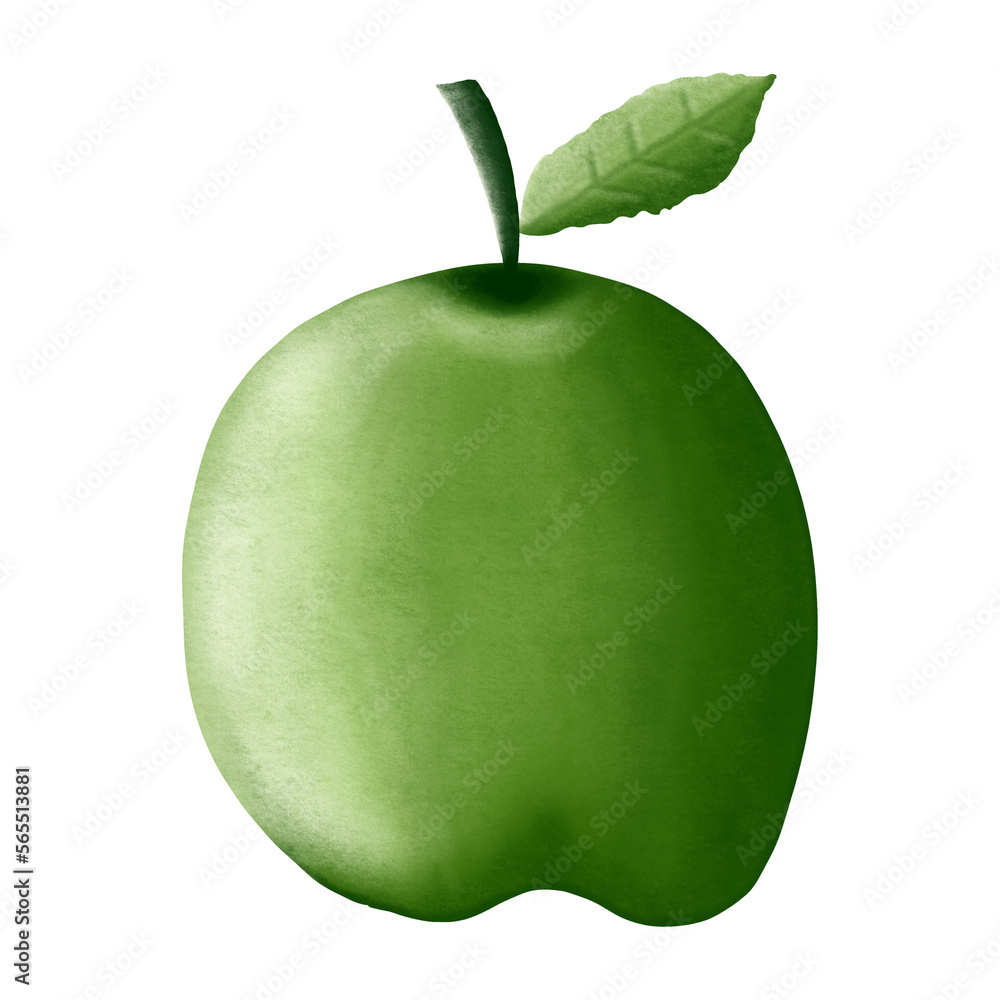 Fruits drawing elements. Illustration realistic green apple drawing