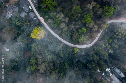 Forest and fog in the morning, high angle view © artrachen