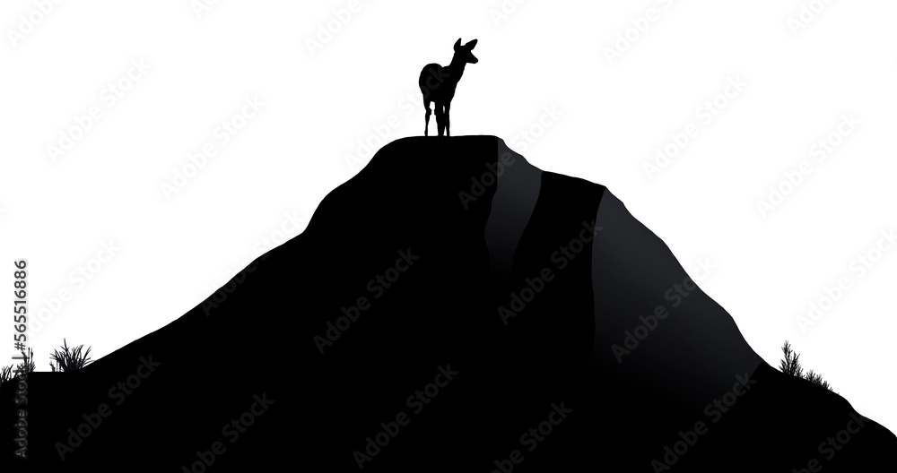 A whitetail deer is seen on a hilltop in a silhouette on a transparent background.
