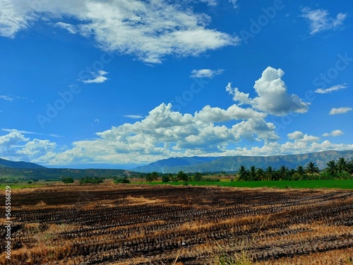 quema de chacras de arroz